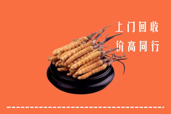 兴山县高价冬虫夏草回收多少钱每克